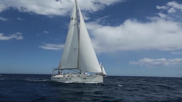 Sailboats participate in sailing regatta - Footage, Video