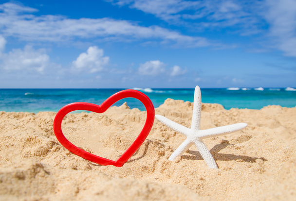 Étoile de mer en forme de coeur sur la plage de sable
 - Photo, image
