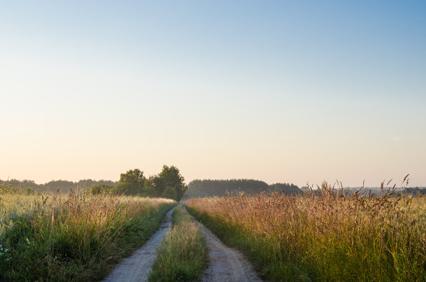 paisagem com estrada rural no verão
  - Foto, Imagem