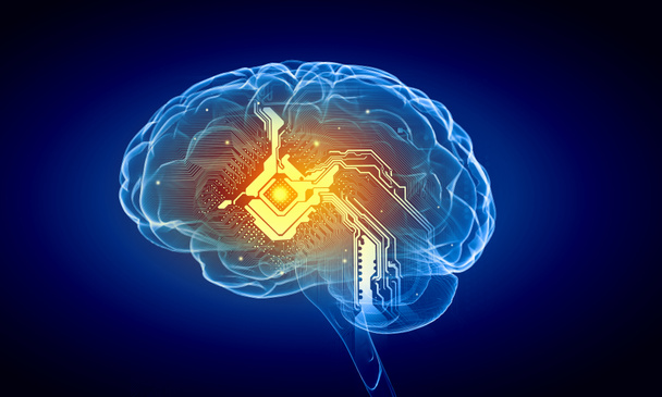 Menselijke hersenen - Foto, afbeelding