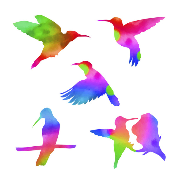 Vector watercolor colibri set - Vecteur, image