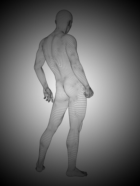 homem conceitual wireframe
 - Foto, Imagem