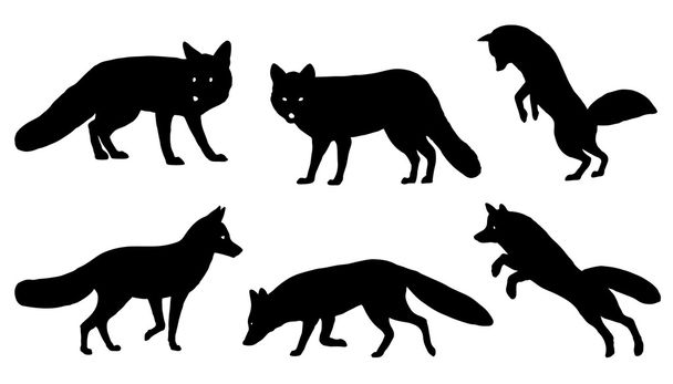 fox silhouettes - Vector, Image
