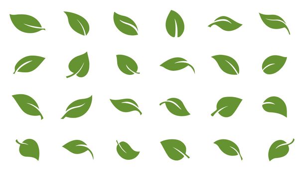 zöld levelek - Vektor, kép
