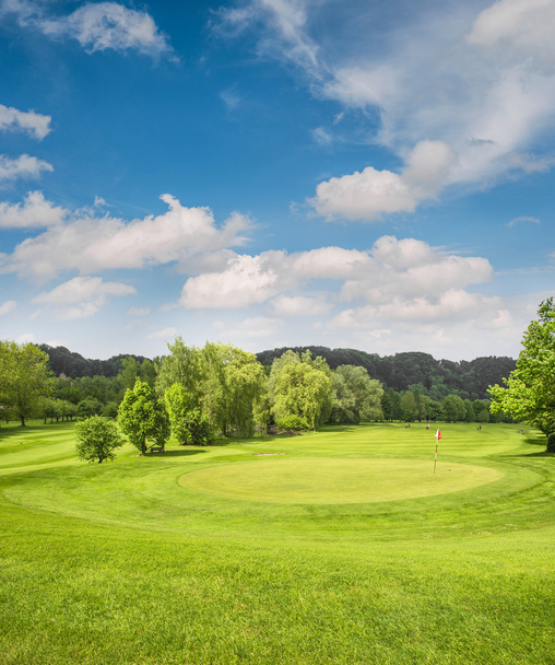 Golf course landscape. Field with green grass, trees, blue sky - Fotoğraf, Görsel