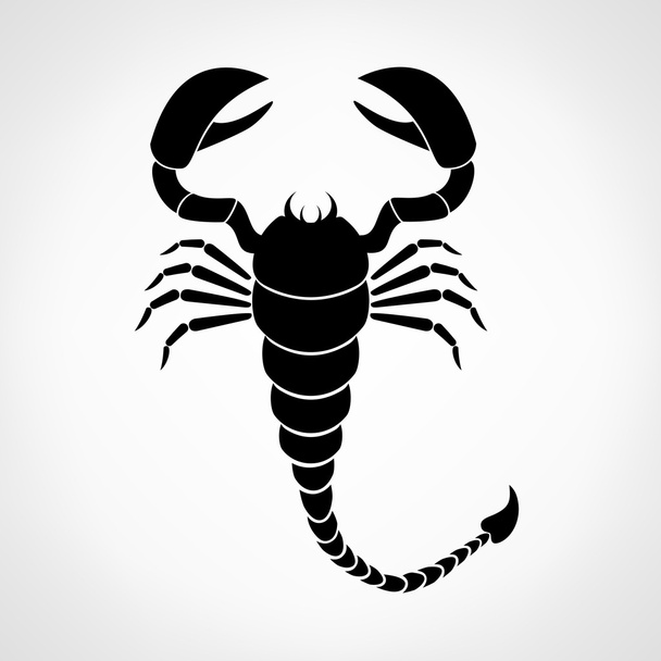 Scorpion vector - Διάνυσμα, εικόνα