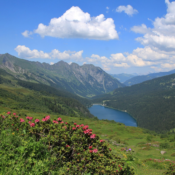 Alpenrosen, Arnensee озеро і гори - Фото, зображення