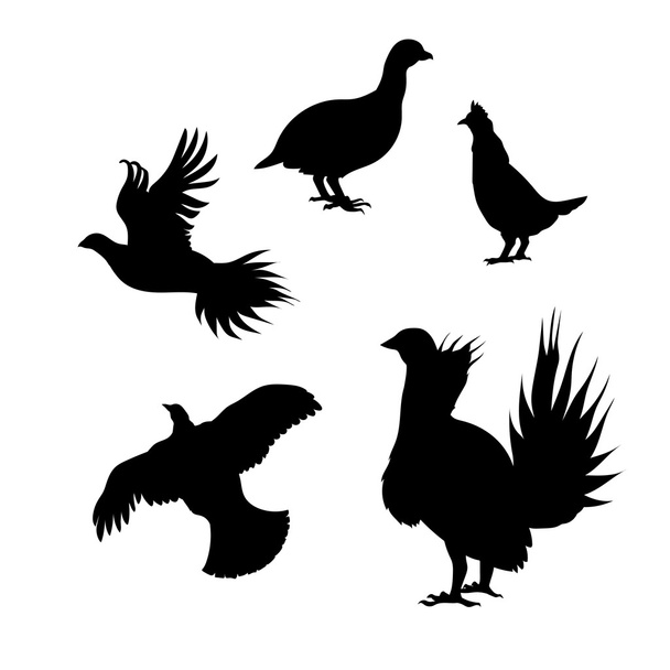 Vector silhouettes of a grouse. - Vecteur, image