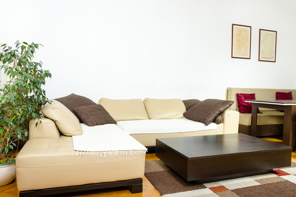 Γωνία κίτρινο καναπέ με πολύχρωμα μαξιλάρια και μαύρο ξύλινο καφέ - Φωτογραφία, εικόνα