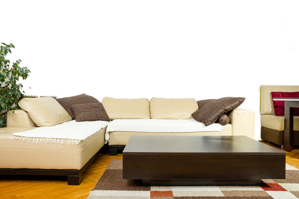 Interior in modern and classic design, friendly furniture layout - Φωτογραφία, εικόνα
