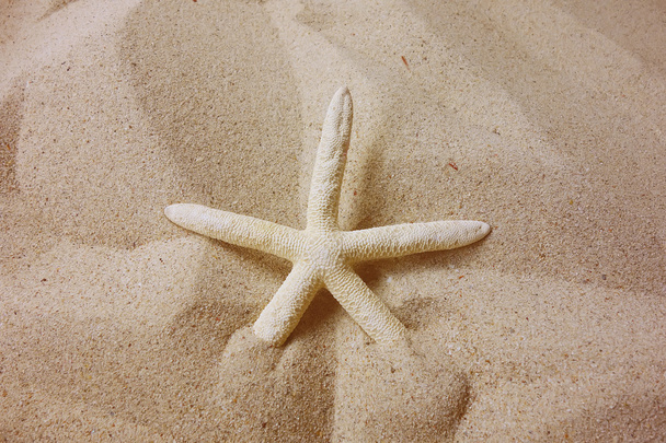 starfish with frame on the beach, vacation memories - Фото, изображение