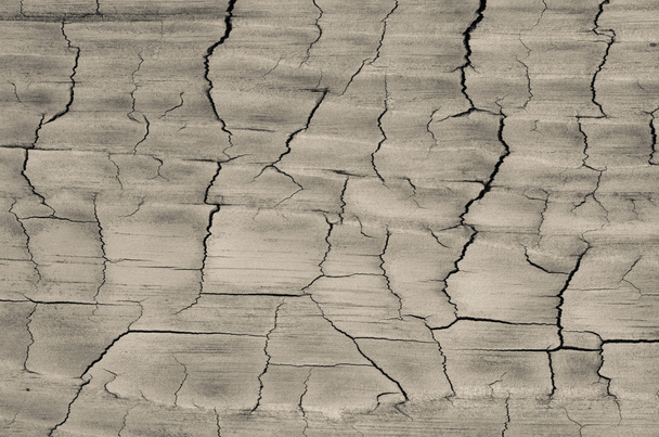 Oude houten textuur achtergrond  - Foto, afbeelding