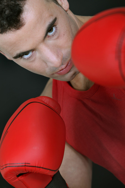 Mean-looking boxer with his padded gloves - 写真・画像