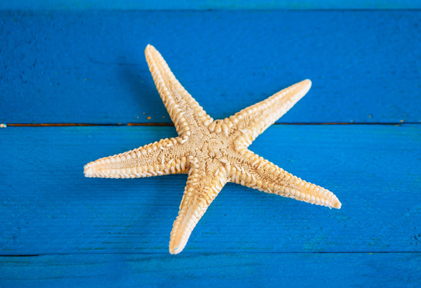 Морская звезда на синем деревянном фоне
 - Фото, изображение