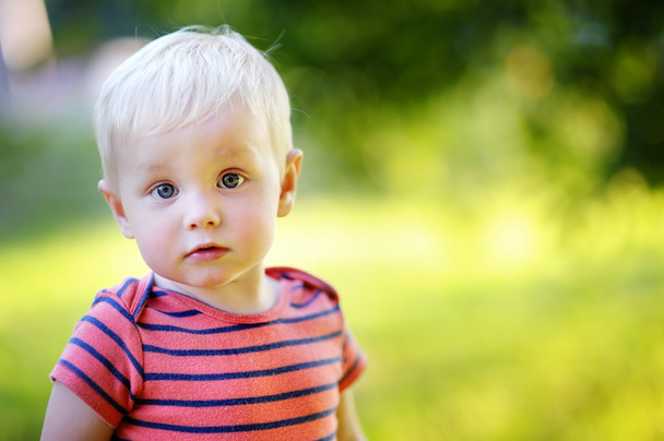 Toddler boy - Valokuva, kuva