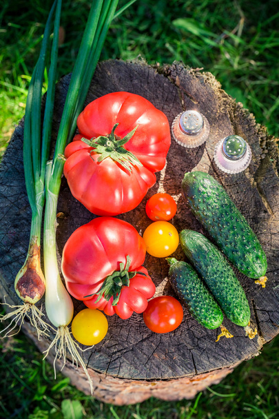 Mezcla saludable de verduras del campo
 - Foto, imagen
