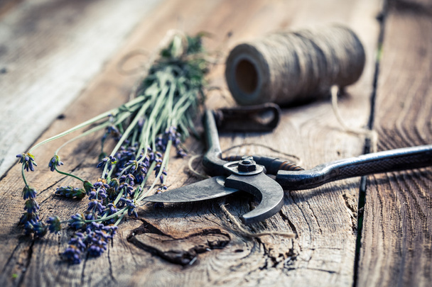 Aromatic lavender on old wooden table - Valokuva, kuva