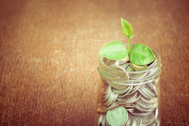 plant growing out of coins with filter effect retro vintage styl - Photo, Image