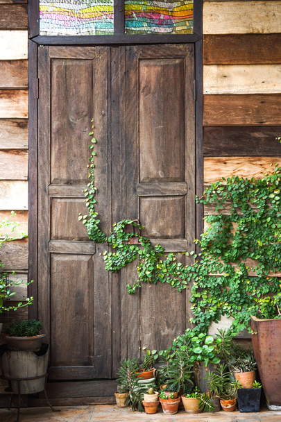 kúszónövény növények egy fából készült ajtó - Fotó, kép
