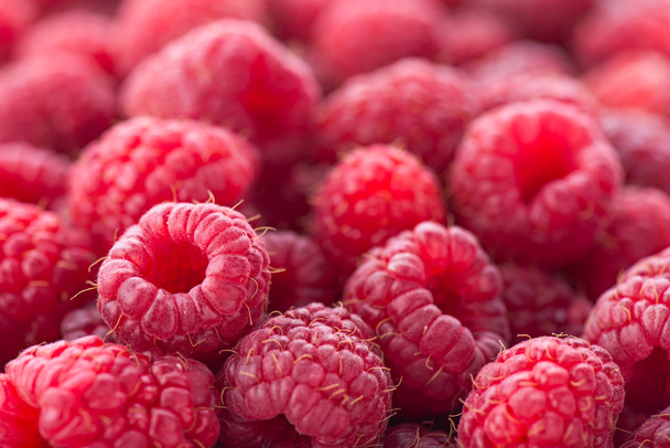 Ripe red raspberries - Foto, imagen
