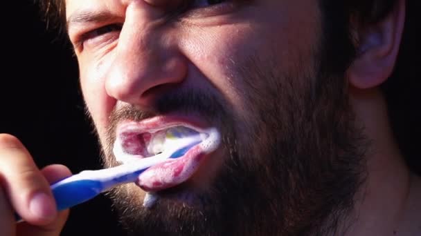 Muž kartáč zpomalené jeho zuby - Záběry, video