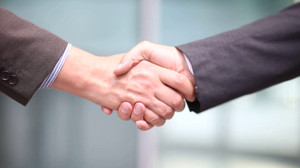 handshake between two businessmen - Video