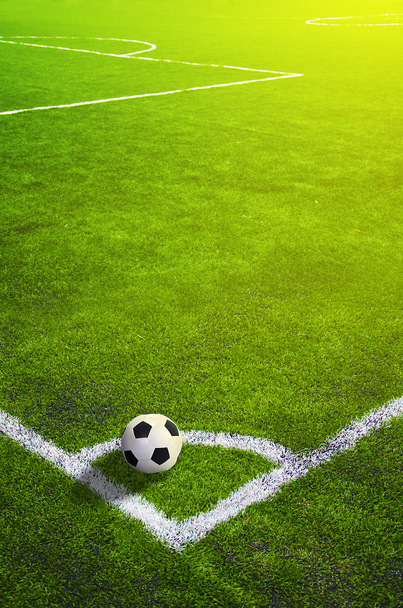 Fotbalové trávníkové hřiště se značením a míčem, Sport - Fotografie, Obrázek
