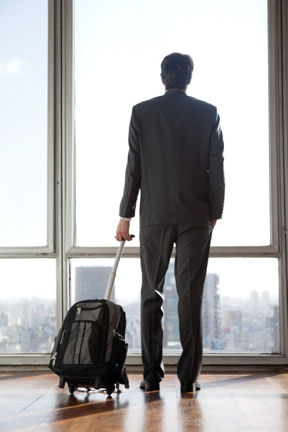 Businessman Holding Luggage - Photo, image