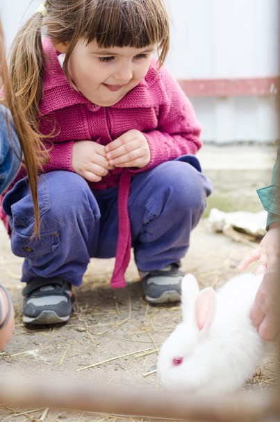 girl looks at the little white rabbit - Foto, immagini