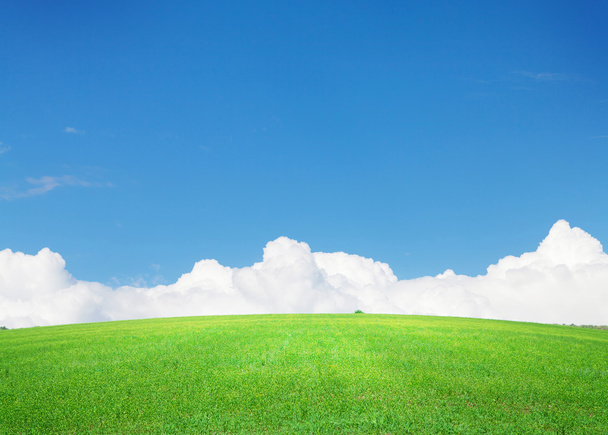 Зеленое травяное поле и голубое небо - Фото, изображение