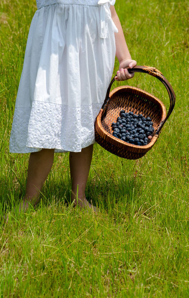 Kind mit einem Korb voller Beeren - Foto, Bild