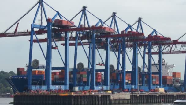 Port w Hamburgu - Materiał filmowy, wideo