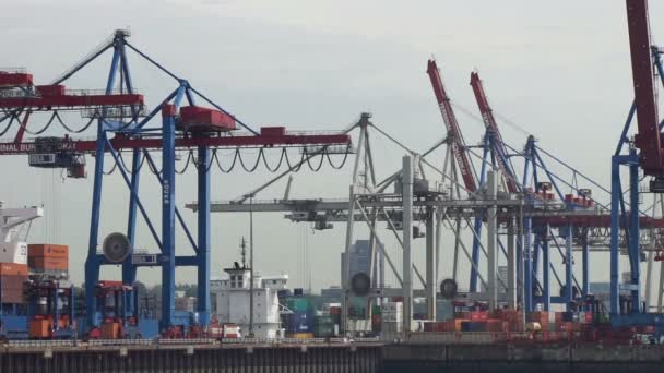 Port w Hamburgu - Materiał filmowy, wideo