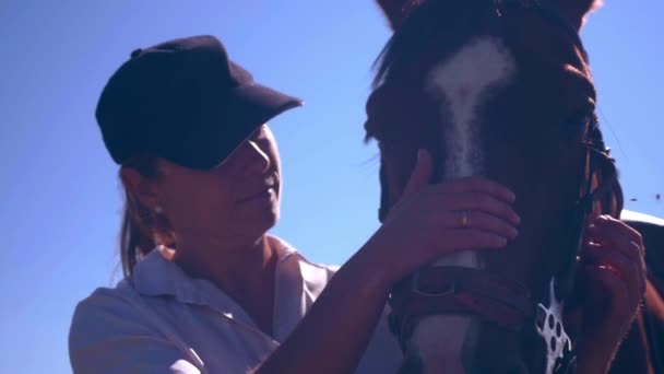 Frau streichelt Pferd - Filmmaterial, Video