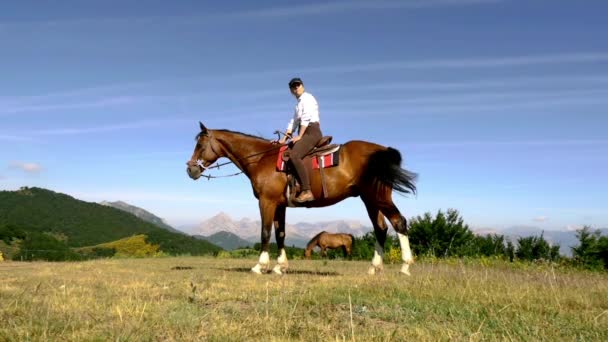 女性と山中の馬 - 映像、動画