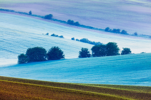 krajobrazów południowych Moraw w godzinach porannych - Zdjęcie, obraz