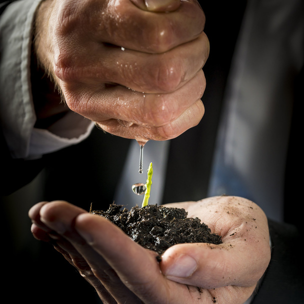 Male hands in a formal suit nurturing and watering a young green - Photo, Image