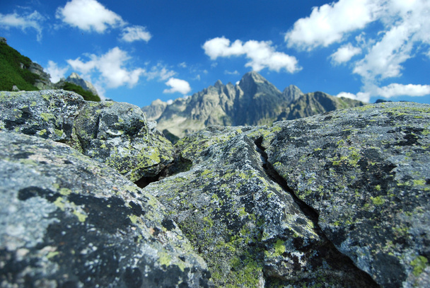 Top di Alti Tatra in background
 - Foto, immagini