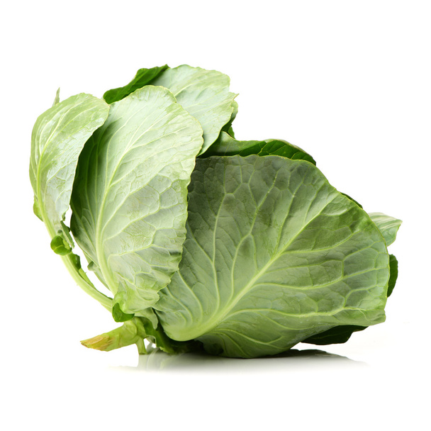 Fresh ripe cabbage - Фото, изображение