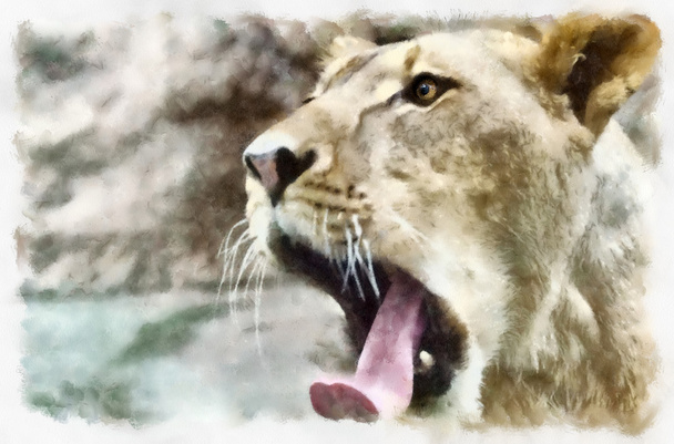 λιοντάρι κεφάλι ψηφιακή ζωγραφική - Φωτογραφία, εικόνα