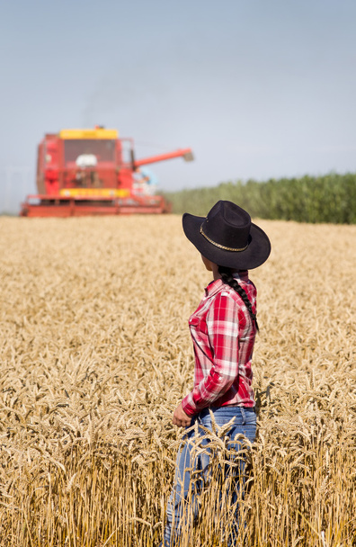junge Frau während der Ernte im Weizenfeld - Foto, Bild