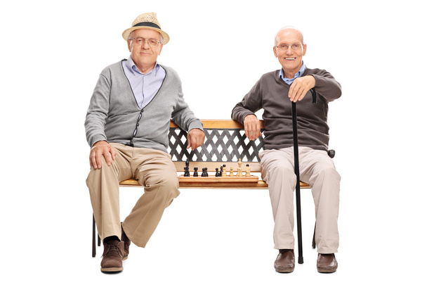 Two old men with a chessboard on bench - Photo, Image