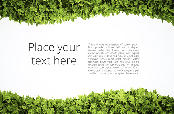 Cadre de texte Eco
  - Photo, image