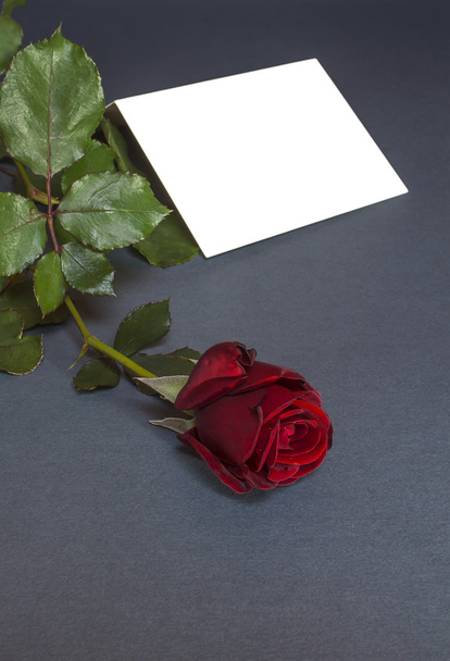 Postcard with red rose and empty tag for your text. - Fotoğraf, Görsel