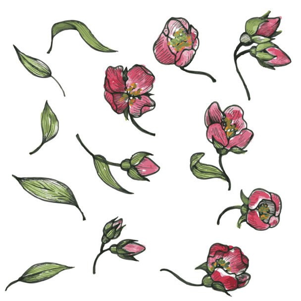 花や葉のベクトルセット - ベクター画像