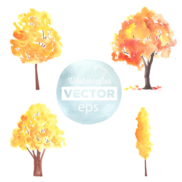 Acuarela árboles de otoño hechos en vector
 - Vector, Imagen