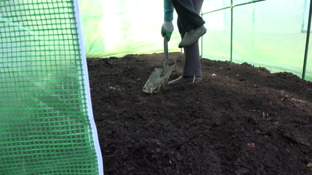 Bauer gräbt mit Spaten im Gewächshaus Erde aus. 4k - Filmmaterial, Video