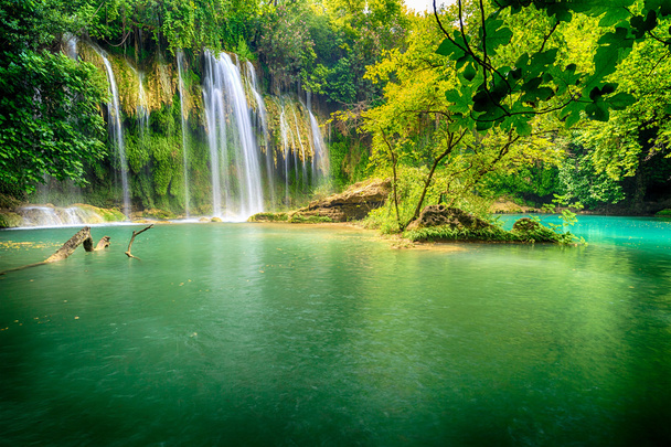 красивий водоспад в лісі на річці
 - Фото, зображення