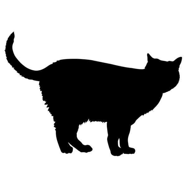 чёрный силуэт кошки - Вектор,изображение