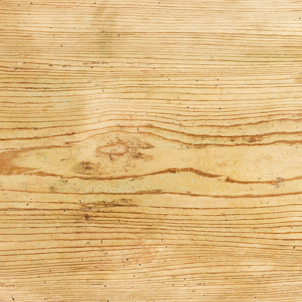 Tablero de madera de abeto viejo con agujeros de gusano
 - Foto, Imagen
